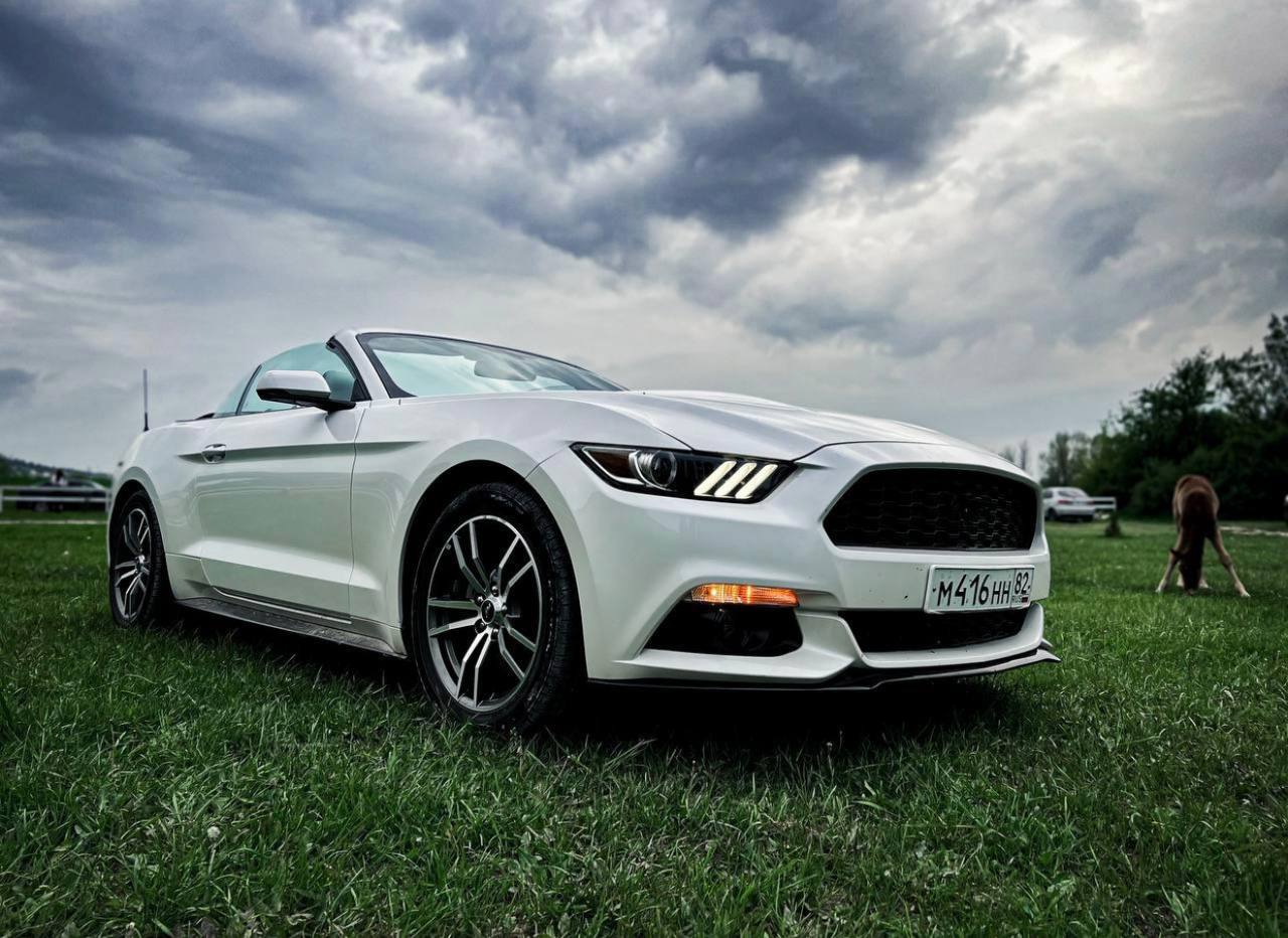Ford Mustang convertible/Art:11109